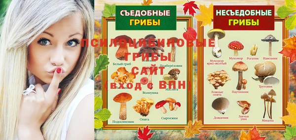 гидра Белокуриха