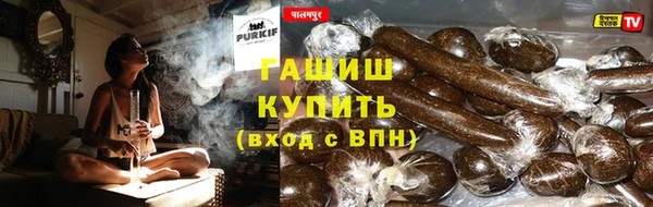 гидра Белокуриха