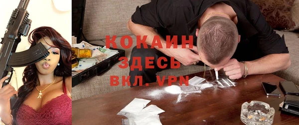 гидра Белокуриха