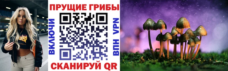 Галлюциногенные грибы прущие грибы Воскресенск